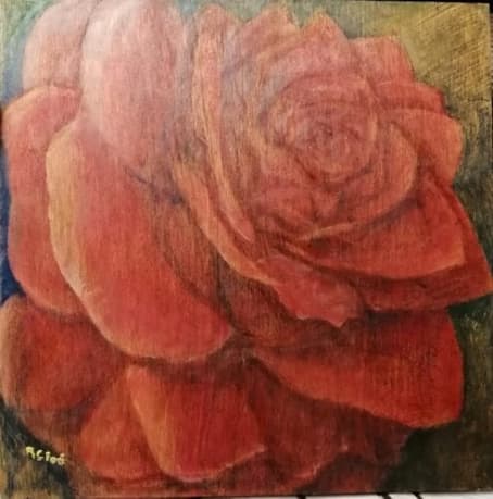 RITA CARELLI FERI  La rosa