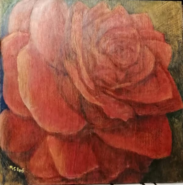 RITA CARELLI FERI La rosa olio su tavola 50X50